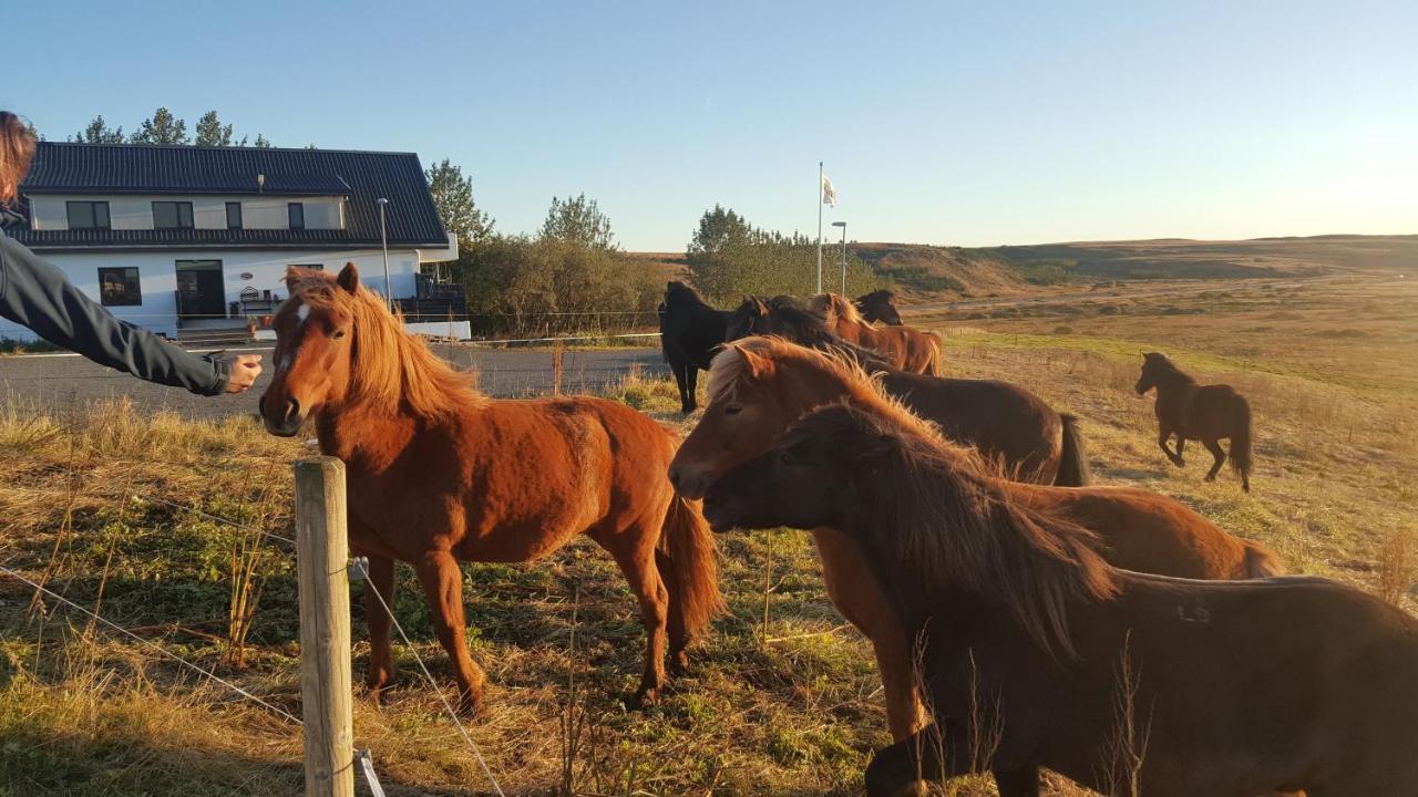 Guesthouse Bitra B&B Selfoss Eksteriør bilde