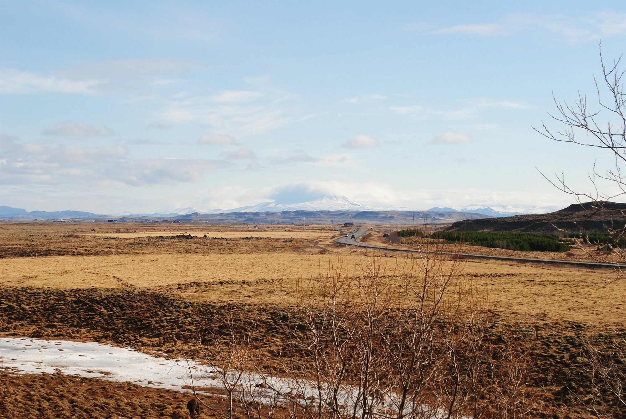 Guesthouse Bitra B&B Selfoss Eksteriør bilde